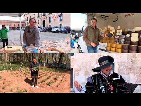 Caminatas Urbanas en Aldeatejada: Mejores Rutas y Sugerencias