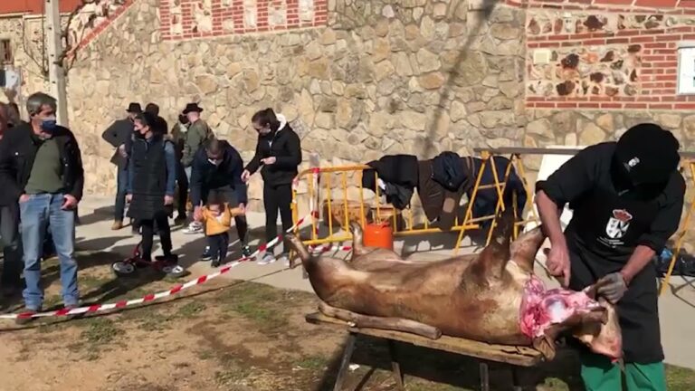 Actividades Imperdibles en Doñinos de Salamanca en Otoño