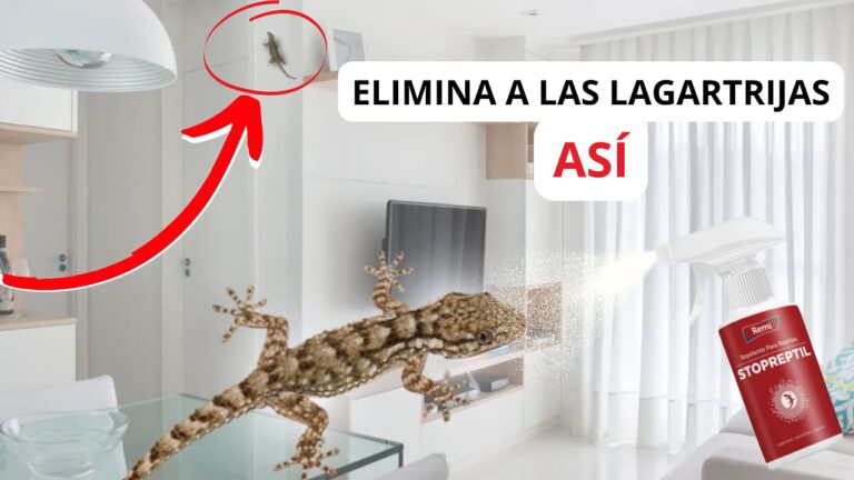 Soluciones a Problemas con Caseros en Salamanca