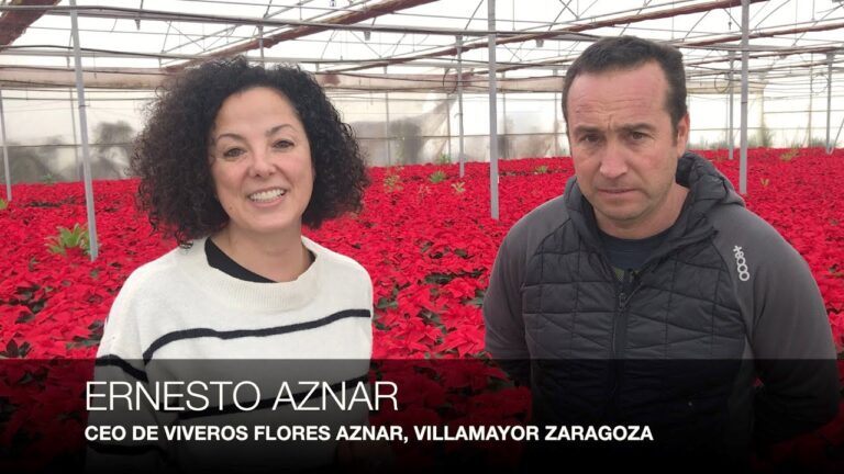 Guía de compras de plantas y flores en Villamayor